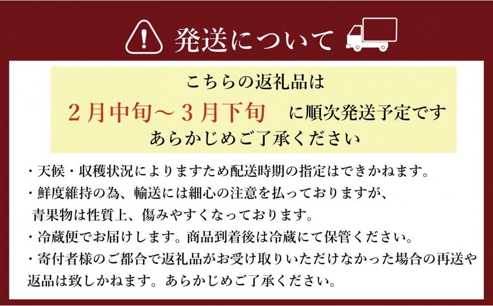 ★先行予約★いちごの王様 福岡県産博多あまおう250g×4パック【2027年2月中旬～3月順次出荷予定】