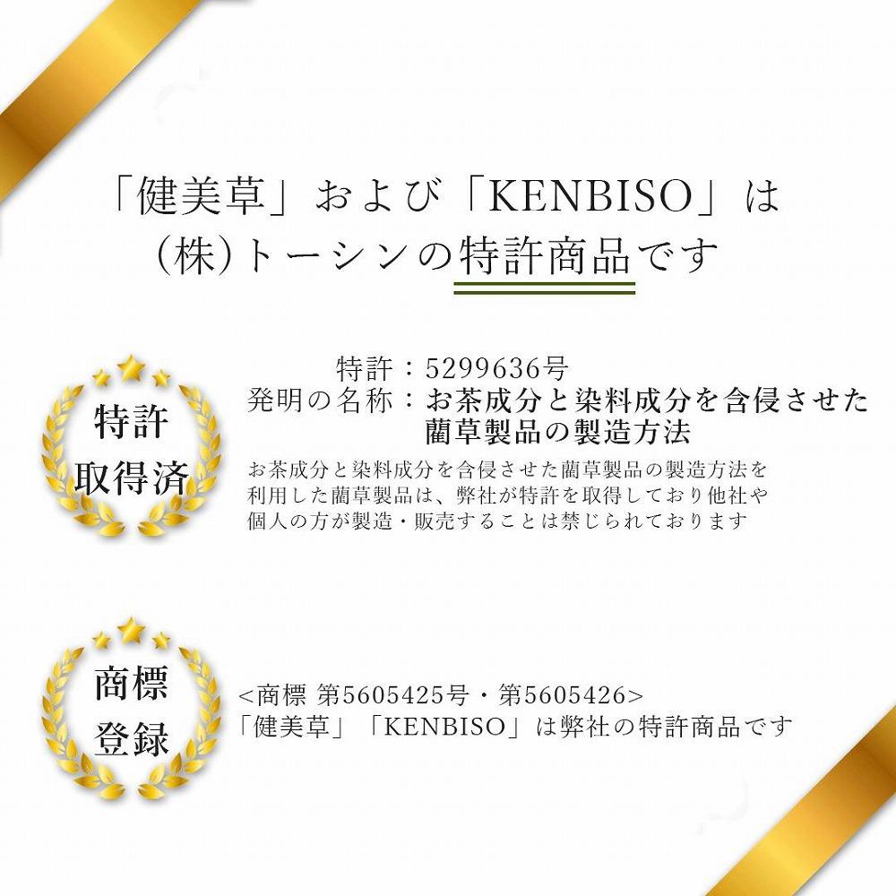 い草玄関マット　DXリーフ　67×90　ベージュ