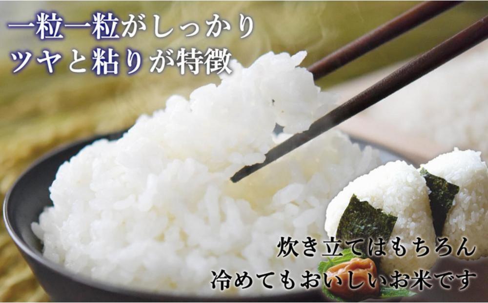 ＜全3回定期便＞令和7年米 福岡県産 米 【無洗米】金のめし丸元気つくし 5kg
