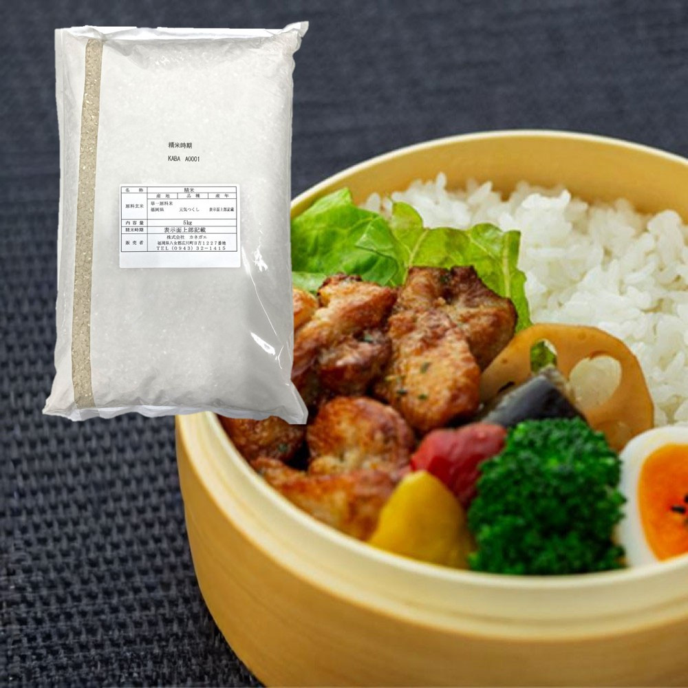 【新米 令和7年産】福岡県産 米 元気つくし 10kg セット ( 5kg×2袋 )