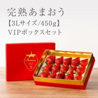 【2026年1月～4月出荷分予約販売】武下さんちの「完熟あまおう」 3Lサイズ 450g  赤いVIPボックスに入れて！