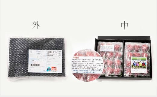 【2026年1月～4月出荷分予約販売】★たっぷり！2倍の量★武下さんちの「完熟あまおう」3Lサイズ 900g入り