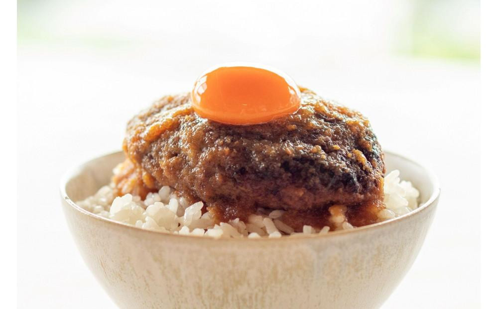 ★お中元★焼き師ママが焼いた九州ハンバーグ ・ジャポネソース付き (6個入り)
