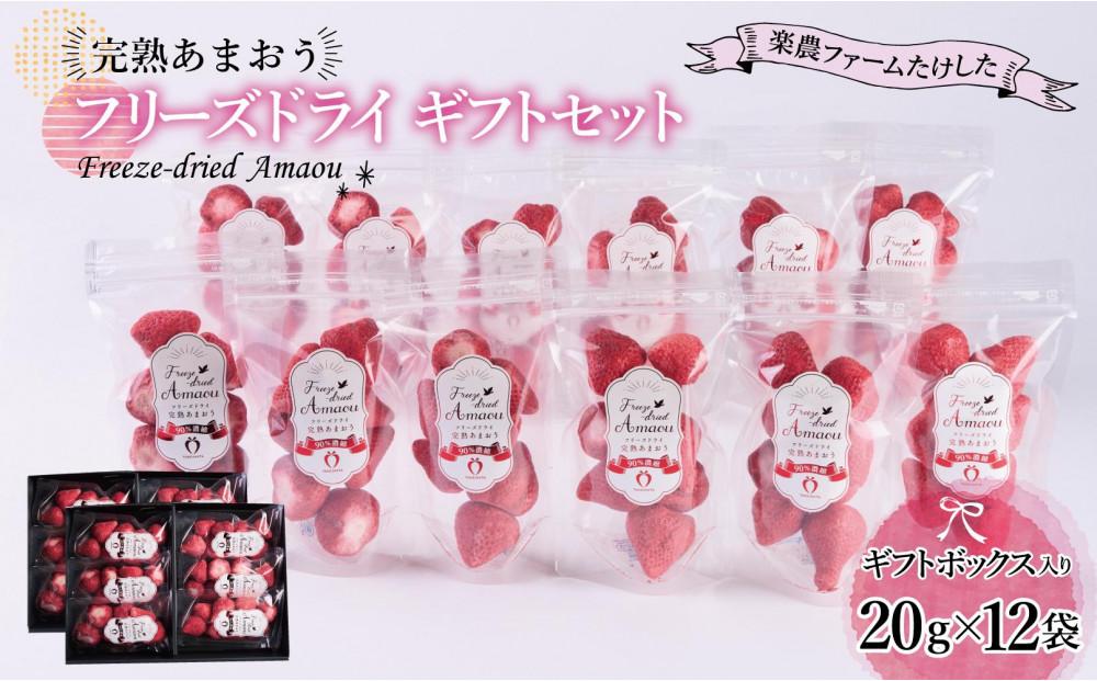 形も味もそのまま楽しめる！完熟あまおう【フリーズドライギフトセット】 (20g×12袋)