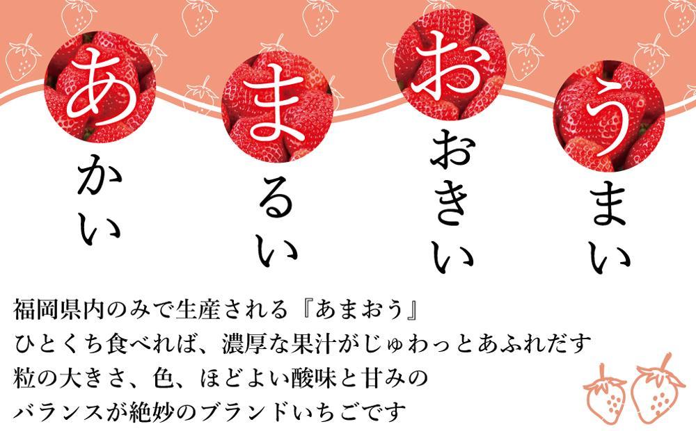 【2027年1月～4月出荷分予約販売】★開けてびっくり★驚きのボリューム完熟あまおう大玉詰め合わせ1200g