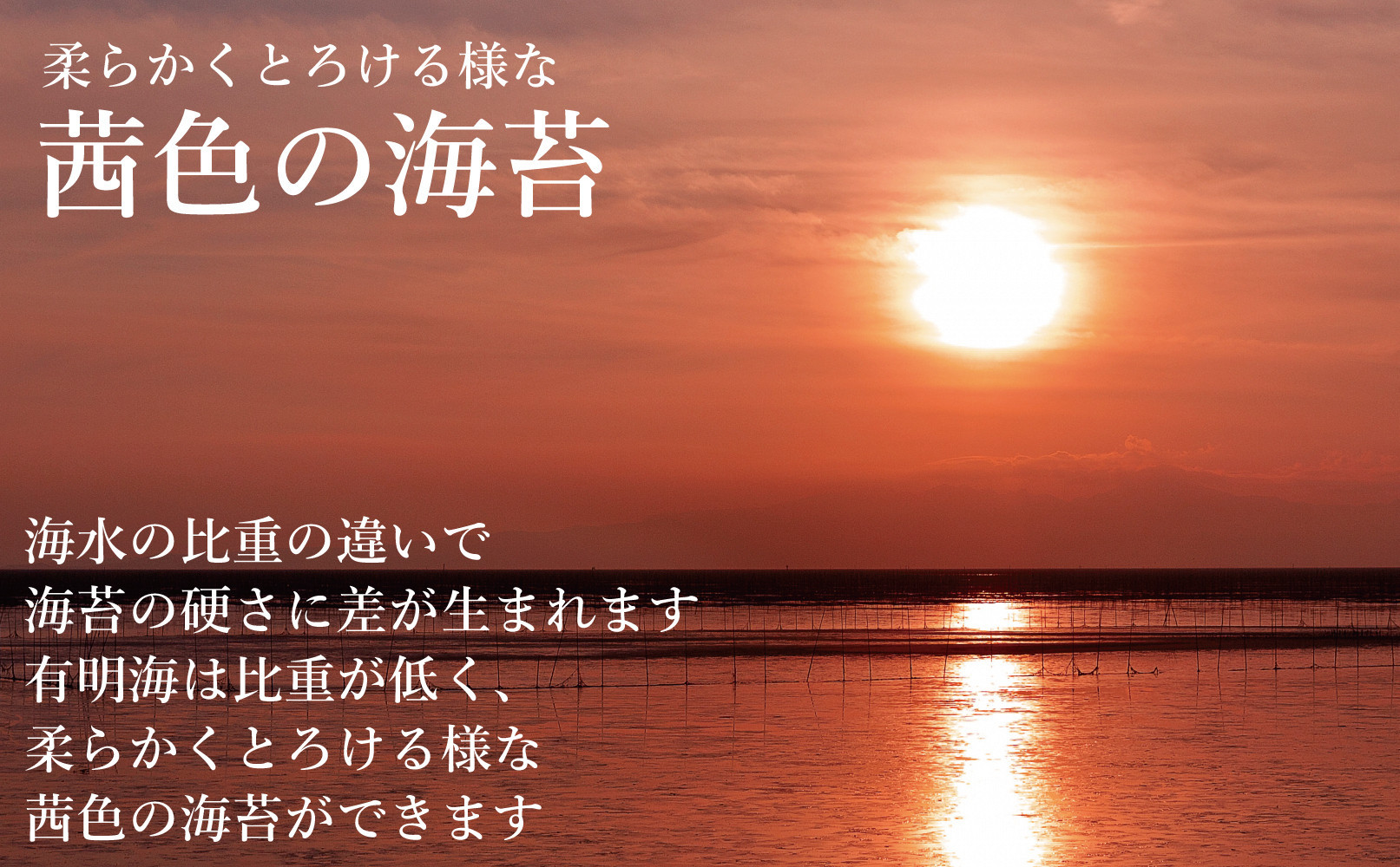 福岡有明海苔 味海苔 大丸ボトル 10切80枚×6本セット