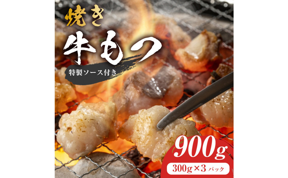 焼きもつ 900g ( 300g×3パック )