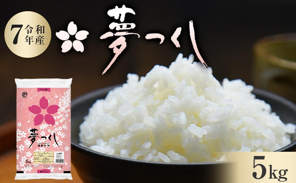 縲蝉サ、蜥7蟷エ逕」縲醍ヲ丞イ。逵檎肇 邀ウ 螟「縺、縺上@ 5kg (1陲 )