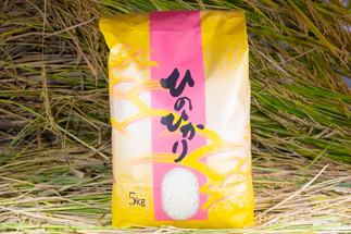 2024年秋収穫分 福岡県大川市産ヒノヒカリ 5kg【ギフト包装】