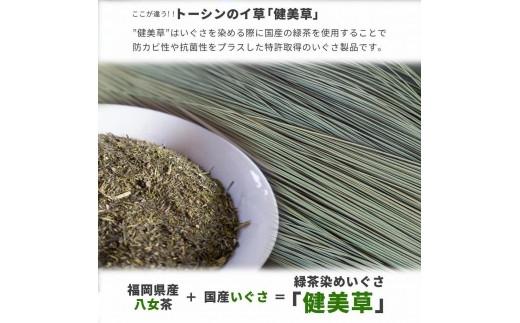 い草玄関マット DXリーフ ベージュ 67×120