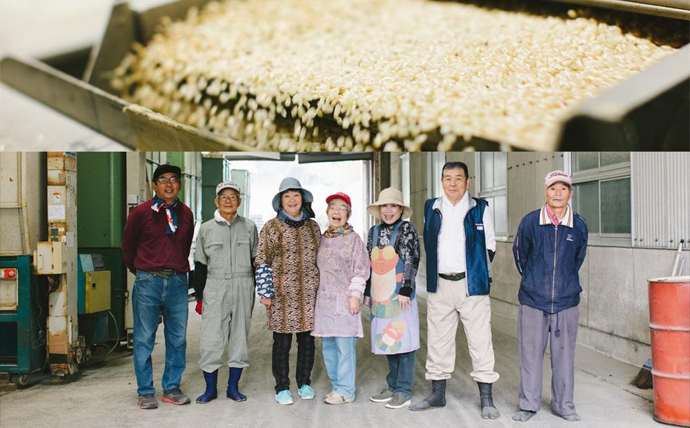 【福岡県産元気つくしをお届け】ふるさと納税 らくらくお米便 30kgコース