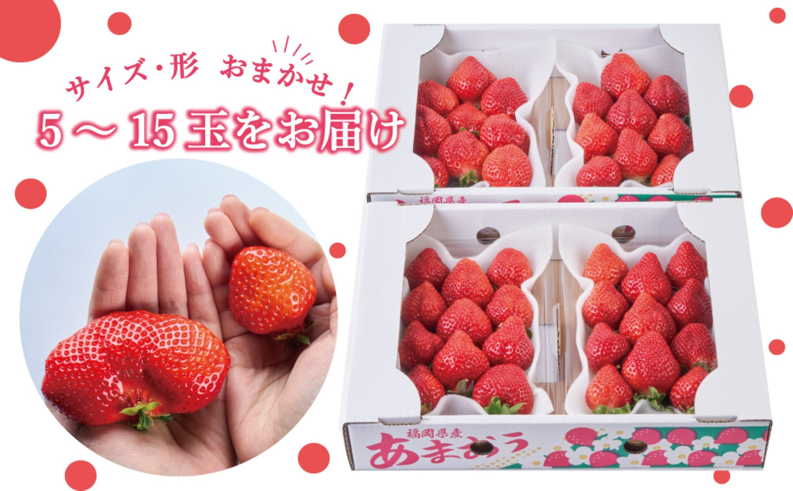 【2026年2月1日～4月30日までに発送！】有機肥料にこだわったたっちゃん家の完熟あまおう（270g×4パック）【配送不可地域：北海道・沖縄・離島】