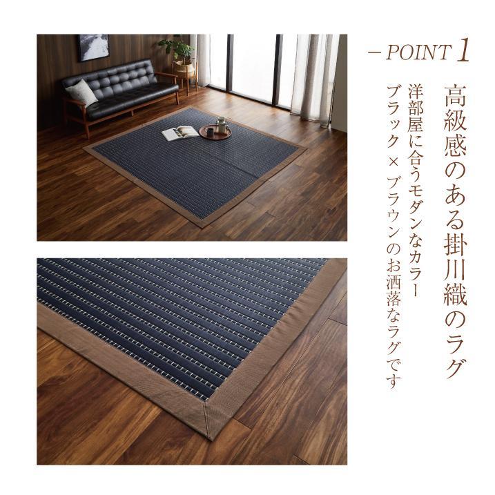 謗帛キ晉ケ 繝ゥ繧ー 邊 繝悶Λ繧ヲ繝ウ 190テ190cm