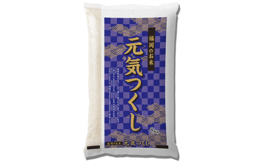 【特A評価獲得！令和7年産】福岡県産 米 元気つくし 5kg (1袋 )
