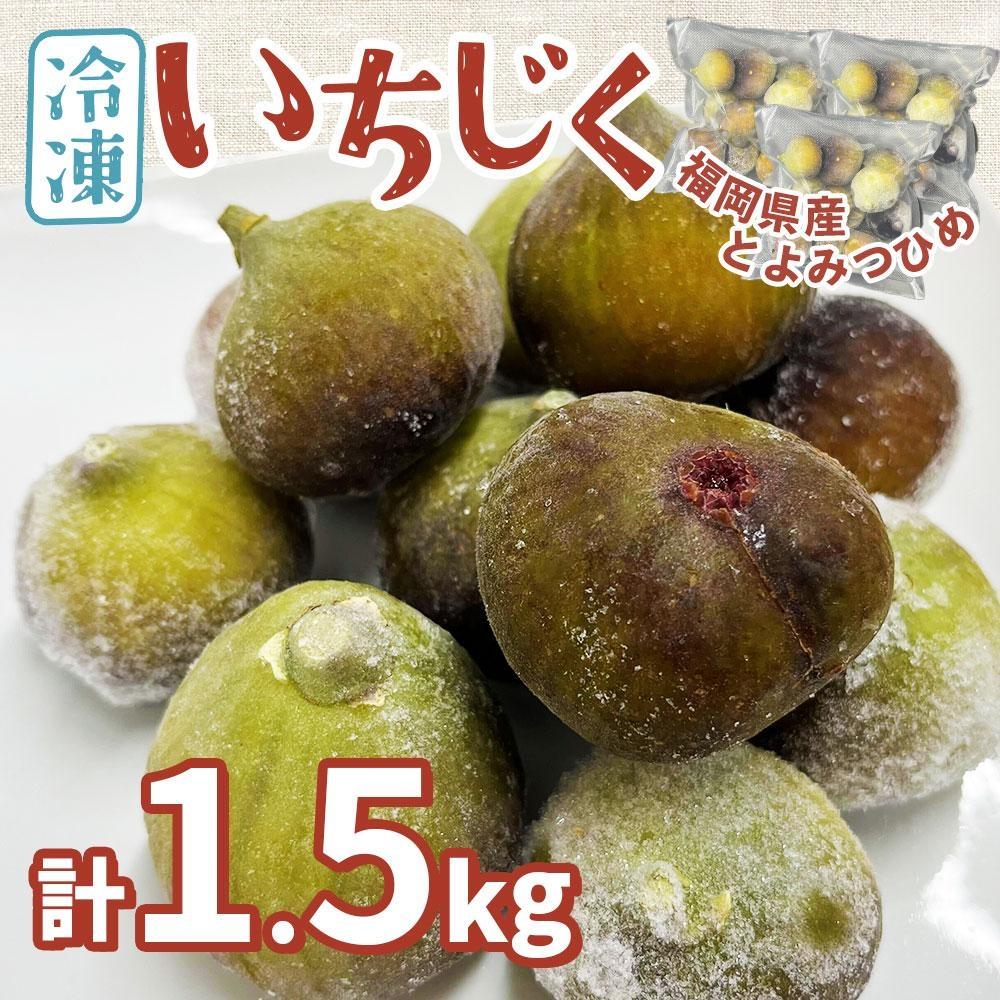 ※受付停止※福岡県産「博多とよみつひめ」冷凍いちじく！合計1.5kg