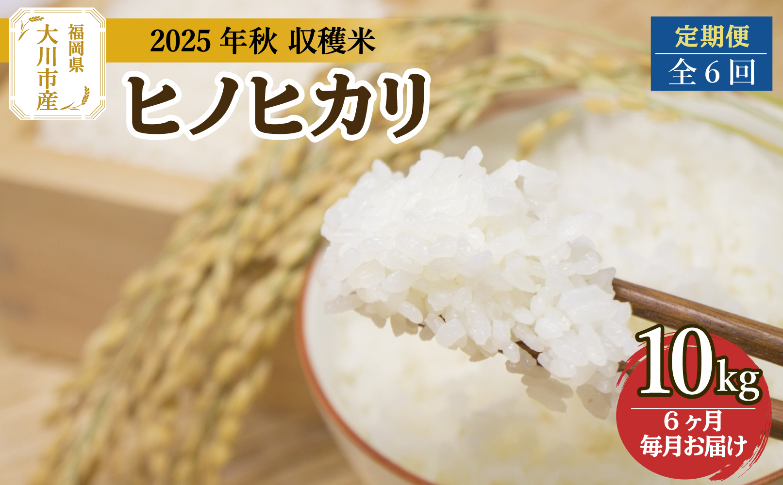 全6回定期便 福岡県大川市産ヒノヒカリ(2025年秋収穫のお米)10kg×6回