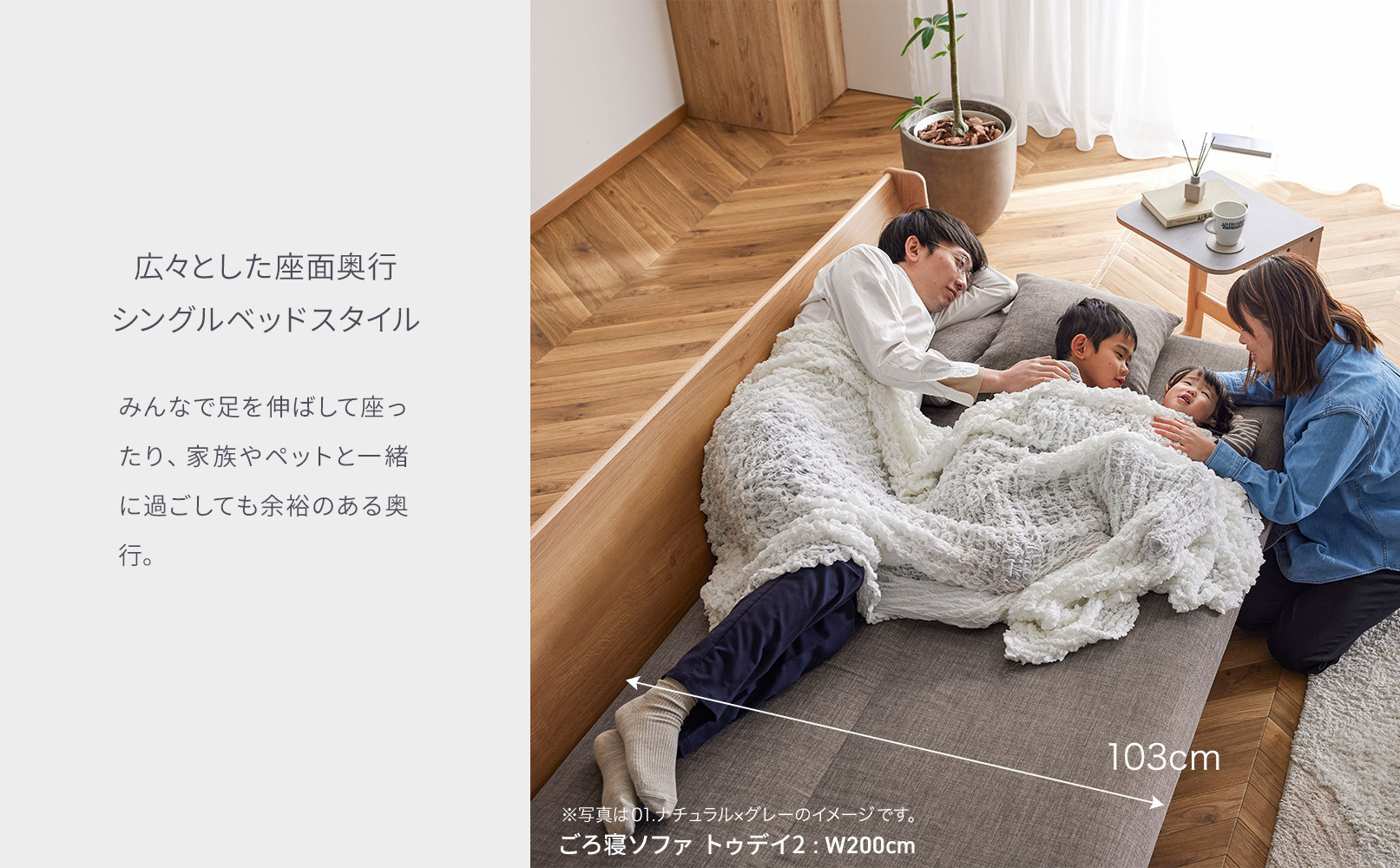 ãœãã¡ ãœãã¡ããã å¹
200 ãã¥ãã€2 200ããå¯ãœãã¡ïŒNAÃã°ã¬ãŒïŒãã¢ãŒãã«ãã倧å·å®¶å
·ã