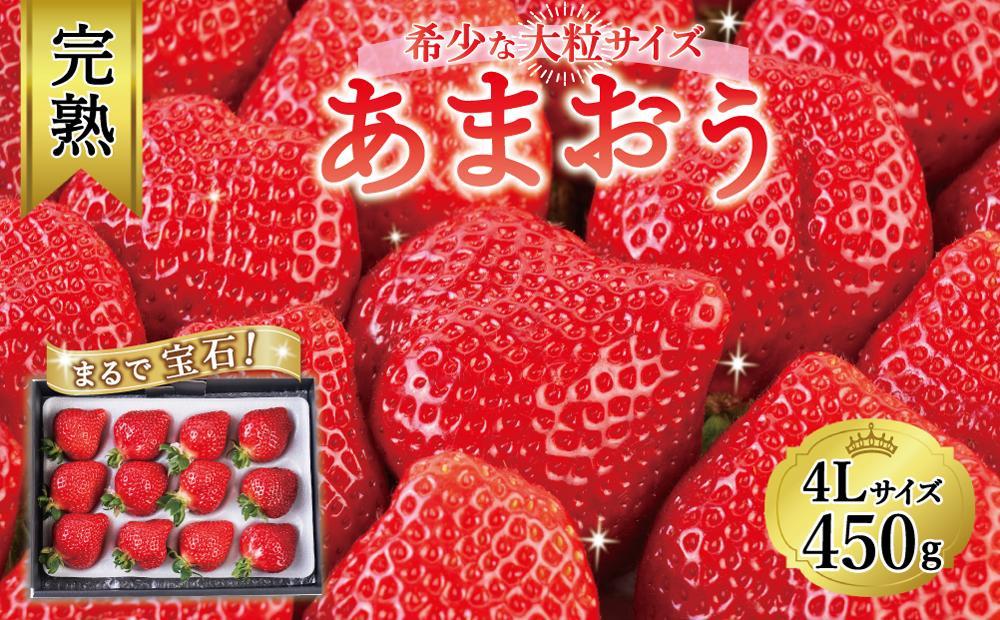 【2026年1月～4月出荷分予約販売】まるで宝石！希少な大粒サイズ！「完熟あまおう」4Lサイズ450g入り