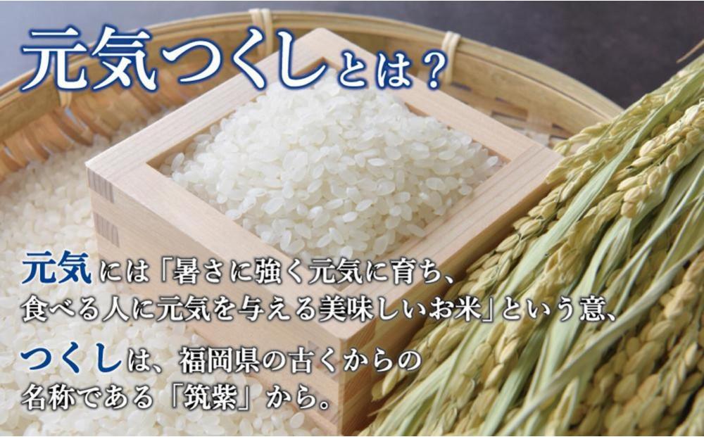 ＜全3回定期便＞令和7年米 福岡県産 米 金のめし丸元気つくし 5kg