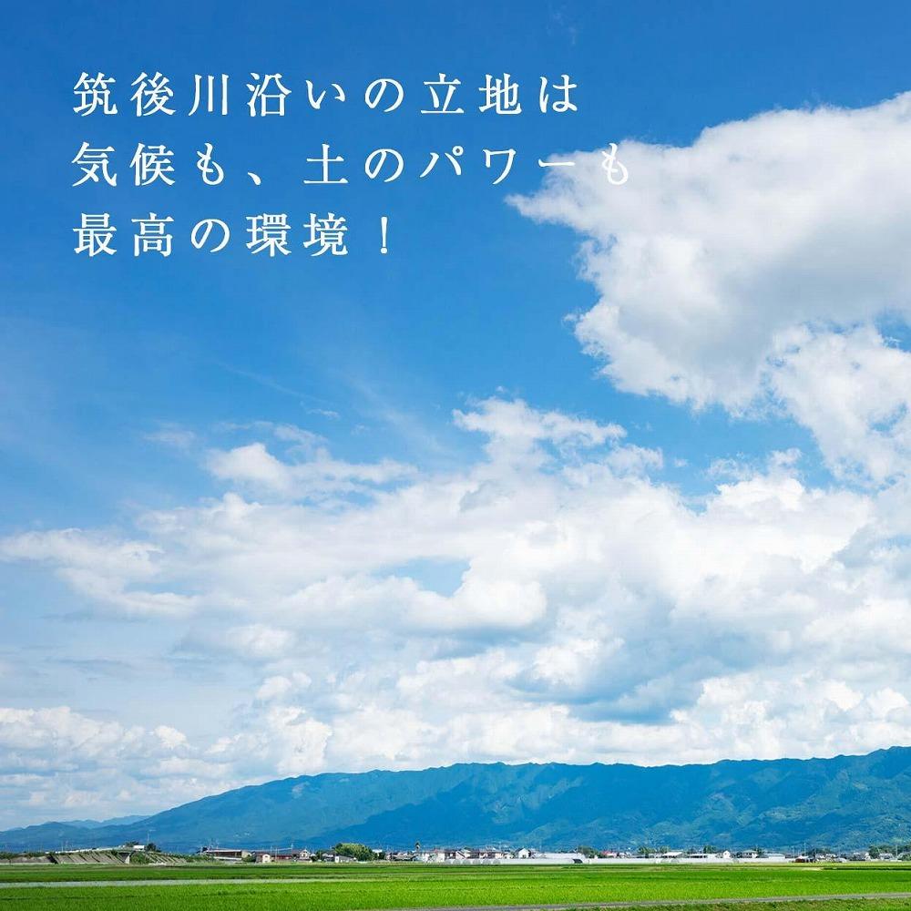 【2026年1月～4月出荷分予約販売】★たっぷり1000g！★ミニサイズの「完熟あまおう」セット