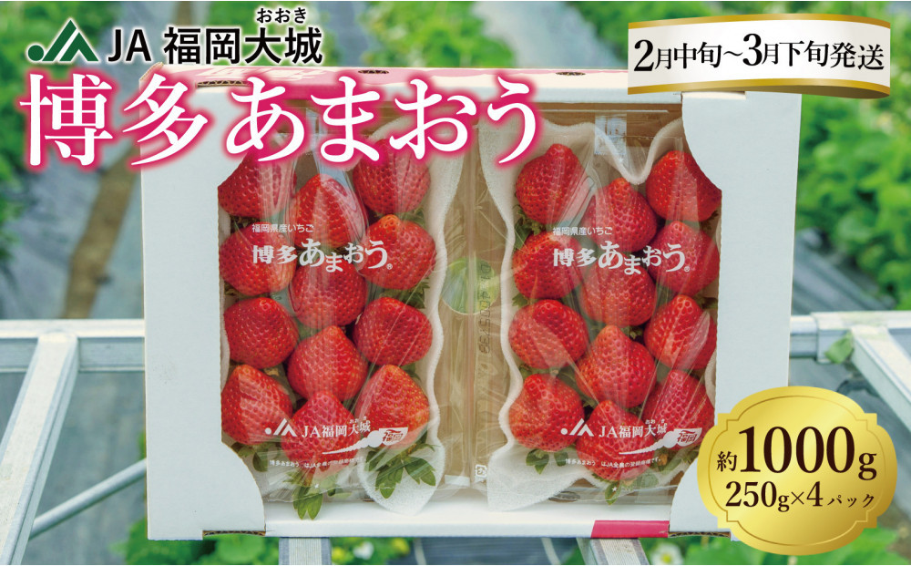 ★先行予約★いちごの王様 福岡県産博多あまおう250g×4パック【2027年2月中旬～3月順次出荷予定】