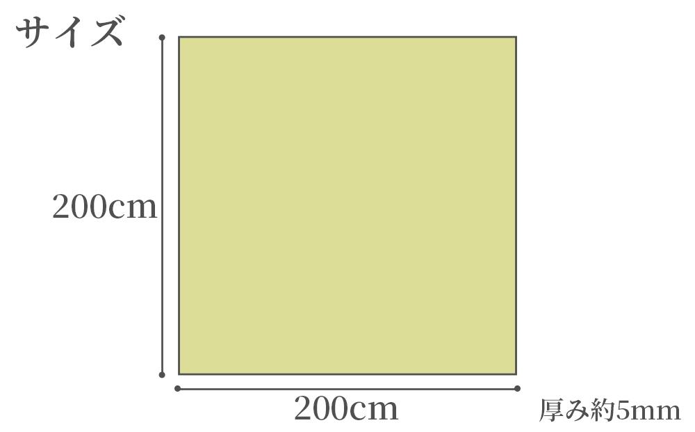 い草中敷きラグ DX祇園 グリーン 200×200cm