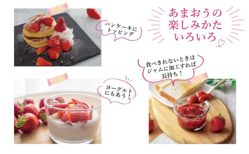 ★先行予約★いちごの王様 福岡県産博多あまおう250g×4パック【2027年2月中旬～3月順次出荷予定】