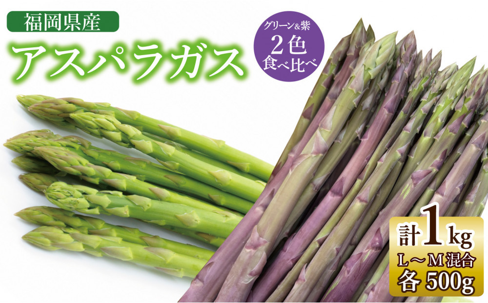 【2026年7月以降出荷】福岡県産アスパラガス 夏芽 紫・緑セット （L-Mサイズ混合 計1kg）