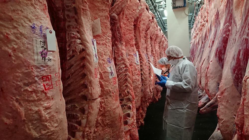 (全3回定期便)【A5～4等級】博多和牛サーロインステーキ 200g×2枚