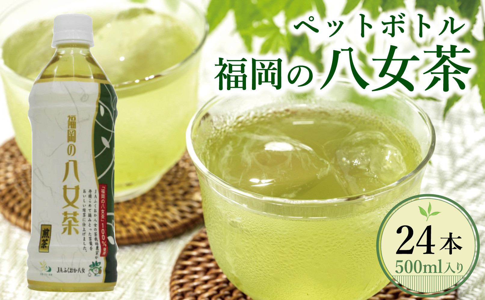 【八女茶】煎茶ペットボトル 500ml×24本