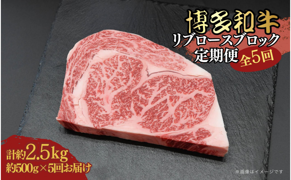 博多和牛 リブロースブロック 定期便全5回 計約2.5kg(約500g×5回)