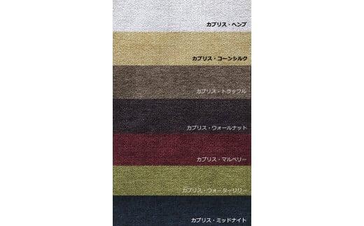 AGILE Zaisu ã«ããªã¹