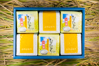 2024年秋収穫分 福岡県大川市産ヒノヒカリ キューブデザイン 6個入り【ギフト包装】 　