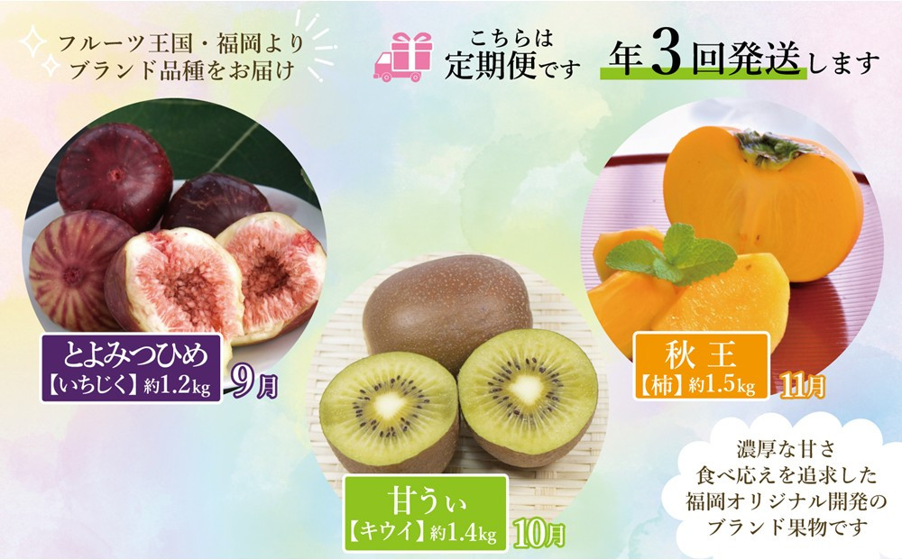【全3回定期便】福岡県産フルーツ定期便