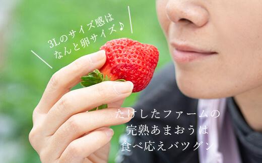 【2026年1月～4月出荷分予約販売】★たっぷり！2倍の量★武下さんちの「完熟あまおう」3Lサイズ 900g入り