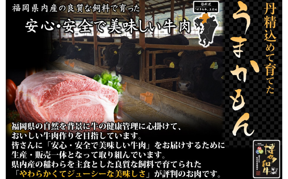 蜊壼、壼柱迚 繝「繝「 辟シ閧臥畑 400g ( 1繝代ャ繧ッ )