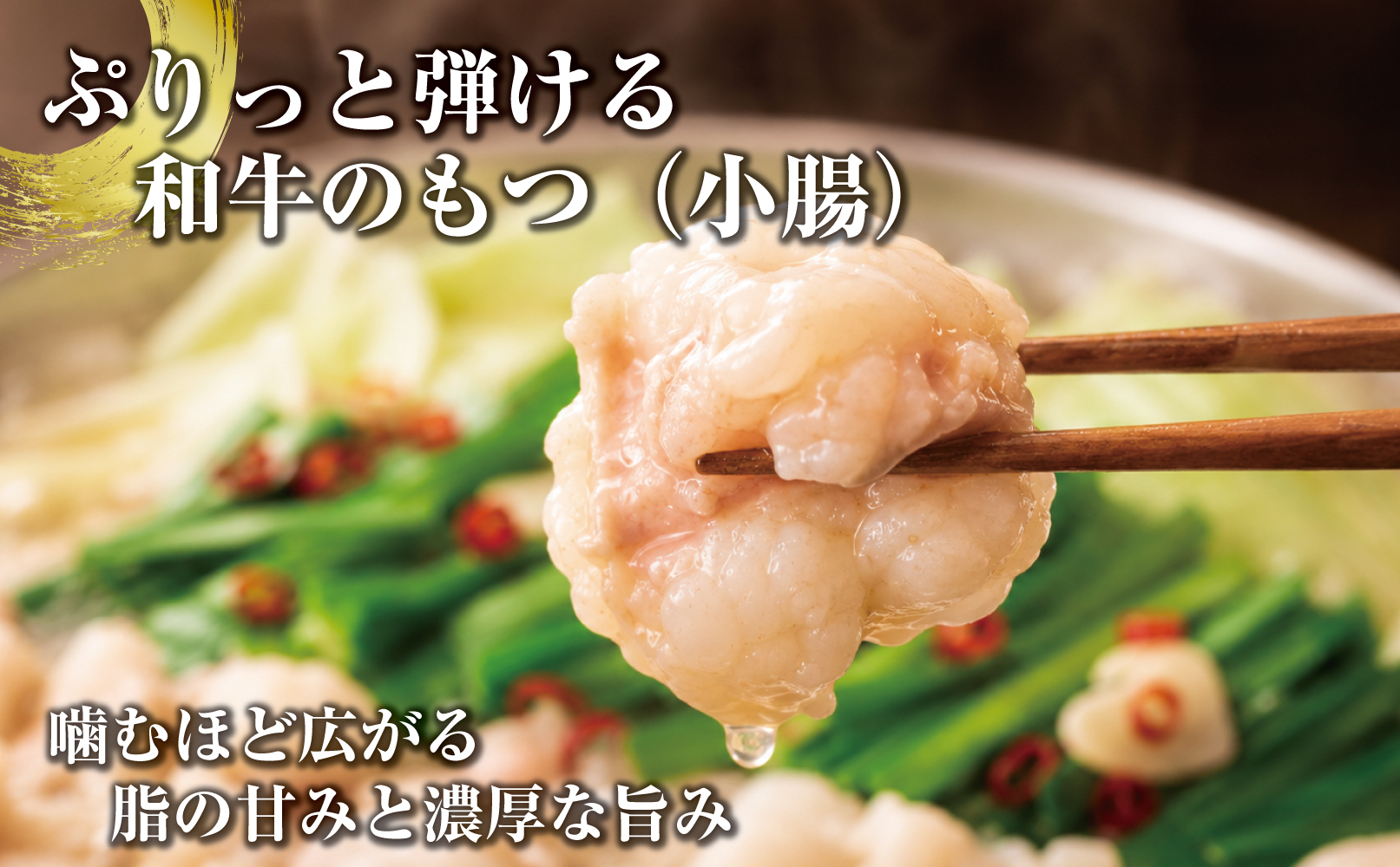博多もつ鍋　小腸セットしょうゆ味（2～3人前）