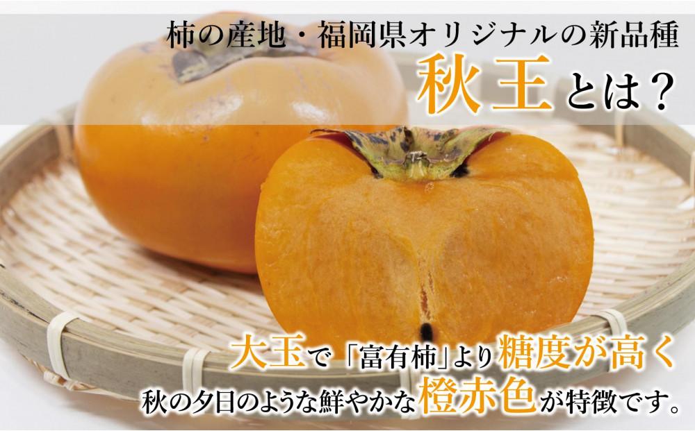 縲千ヲ丞イ。逵檎肇縲醍ァ狗視 邏1.5kg