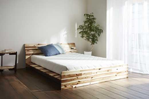 リップ(AC-NA) 100ベッド