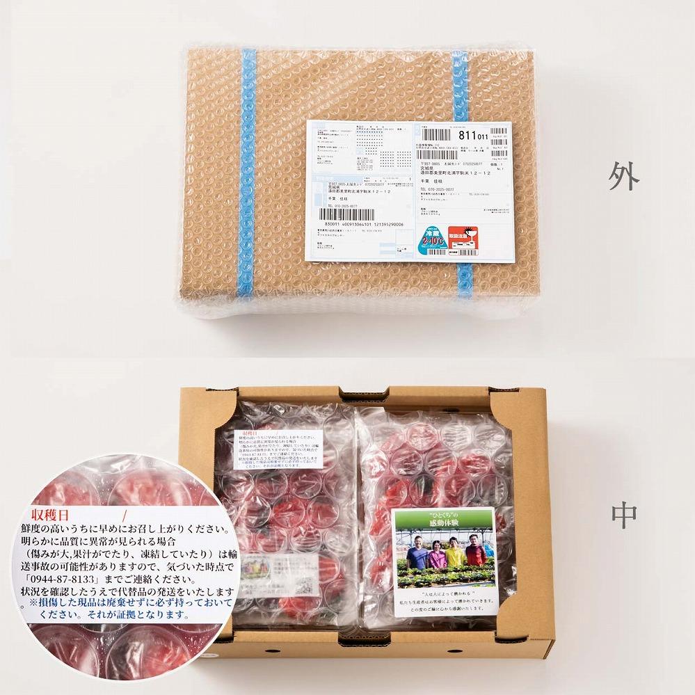 【2027年1月～4月出荷分予約販売】★身近な人間関係のお祝いに★「完熟あまおう」3L～4Lミックス詰め合わせ 900g入り