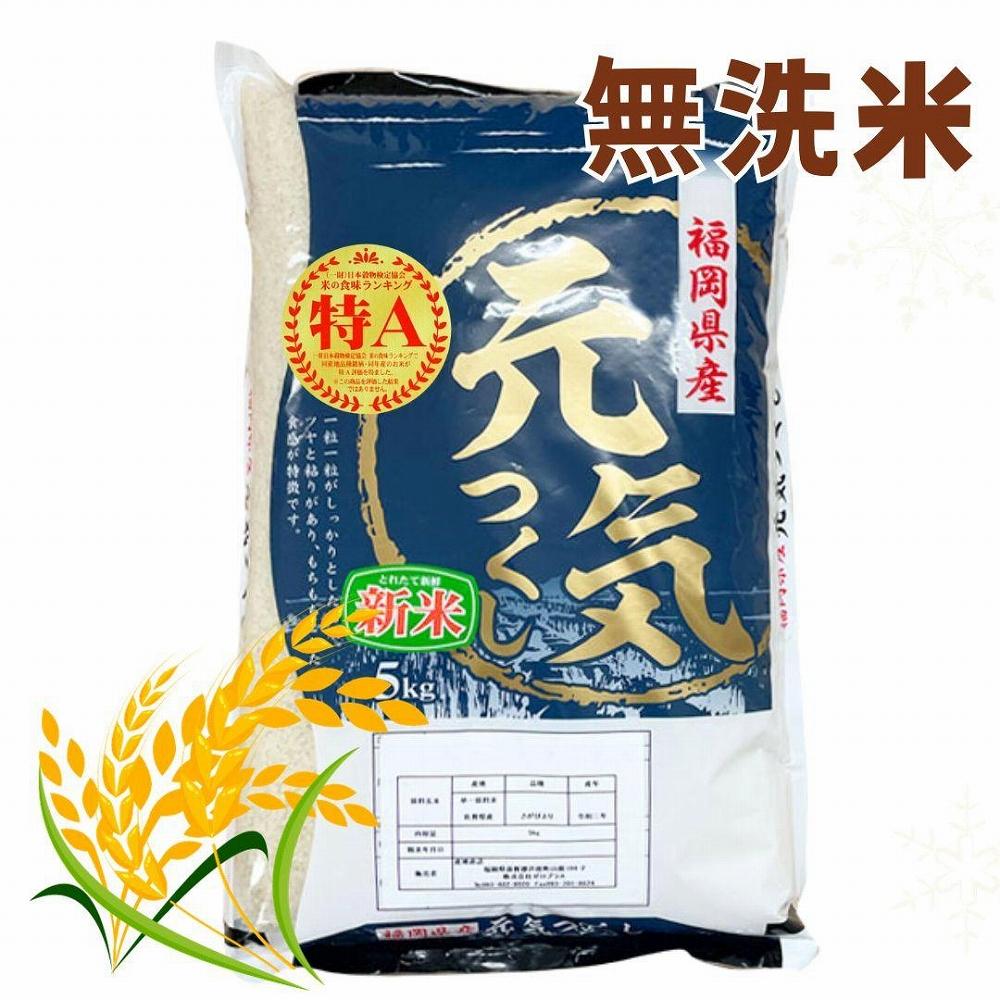 【令和7年産】福岡県産ブランド米「元気つくし」無洗米 5kg