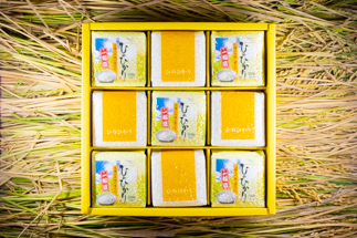 2024年秋収穫分 福岡県大川市産ヒノヒカリ キューブデザイン 9個入り【ギフト包装】