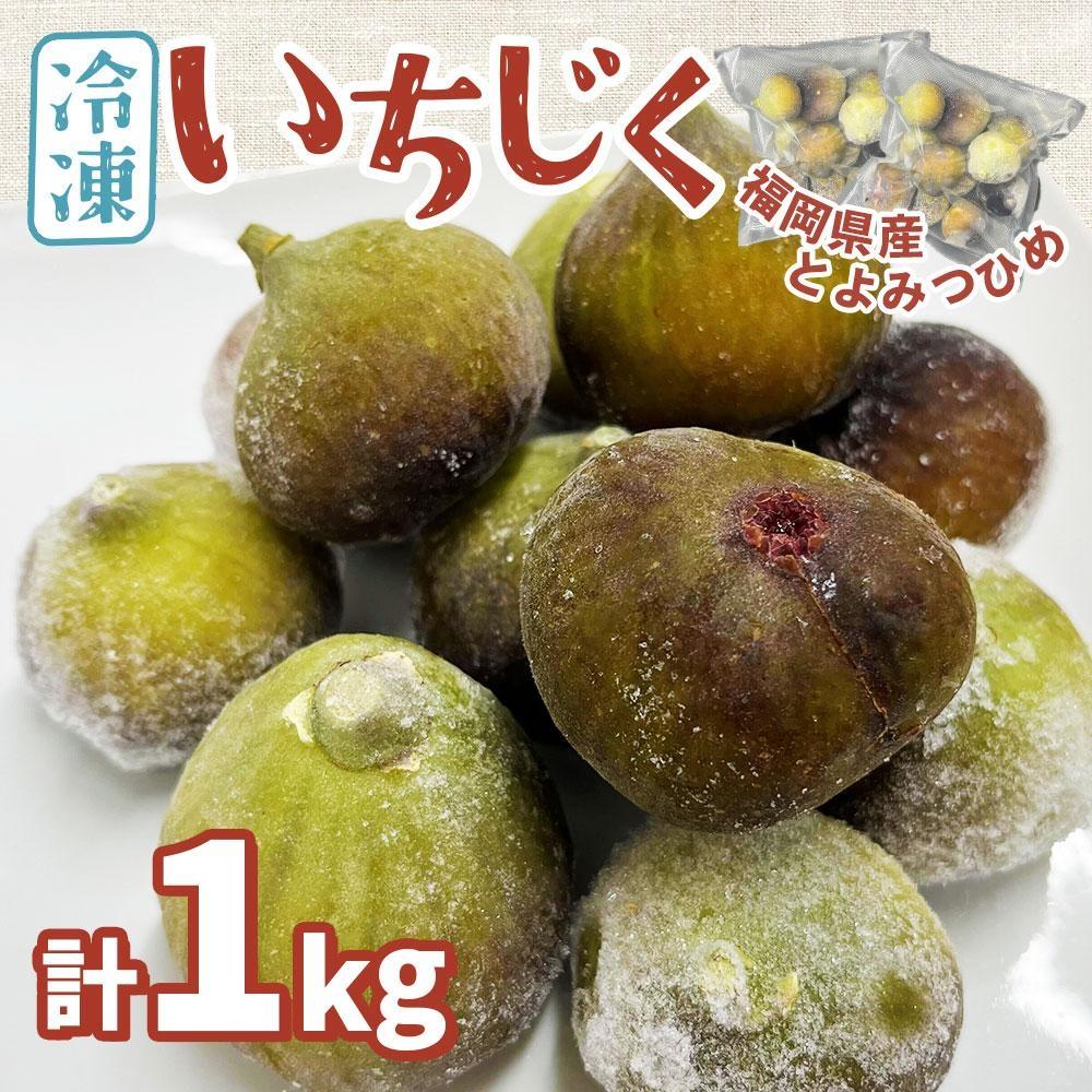 ※受付停止※福岡県産「博多とよみつひめ」冷凍いちじく！合計1kg