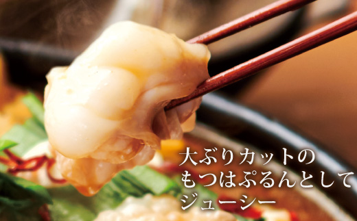 専門店の味をご家庭で♪博多もつ鍋 あごだし醤油味（1-2人前）【博多もつ鍋やまや】