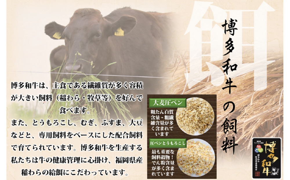 蜊壼、壼柱迚 繝「繝「 辟シ閧臥畑 400g ( 1繝代ャ繧ッ )