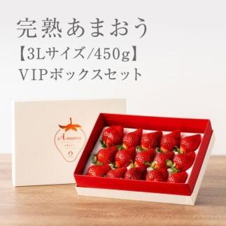 【2026年1月～4月出荷分予約販売】武下さんちの「完熟あまおう」 3Lサイズ 450g  白いVIPボックスに入れて！