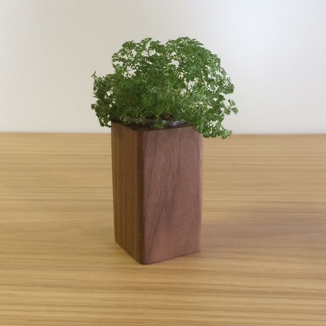 【かわいい四角い木製ポット】キャンドル・植物どちらでも使えます＜ウォールナット材　オイルフィニッシュ＞ 木製 小物 置物 キャンドルベース キャンドルスタンド 植物 多肉植物 サボテン アロマキャンドル 植物  MUKU屋 MUFactory
