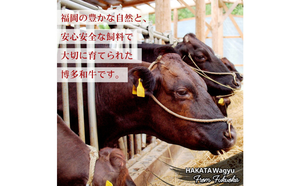 蜊壼、壼柱迚帙閧ゥ繝ュ繝シ繧ケ辟シ閧峨邏700g