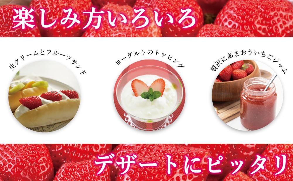 【2027年1月～4月出荷分予約販売】★開けてびっくり★驚きのボリューム完熟あまおう大玉詰め合わせ1200g