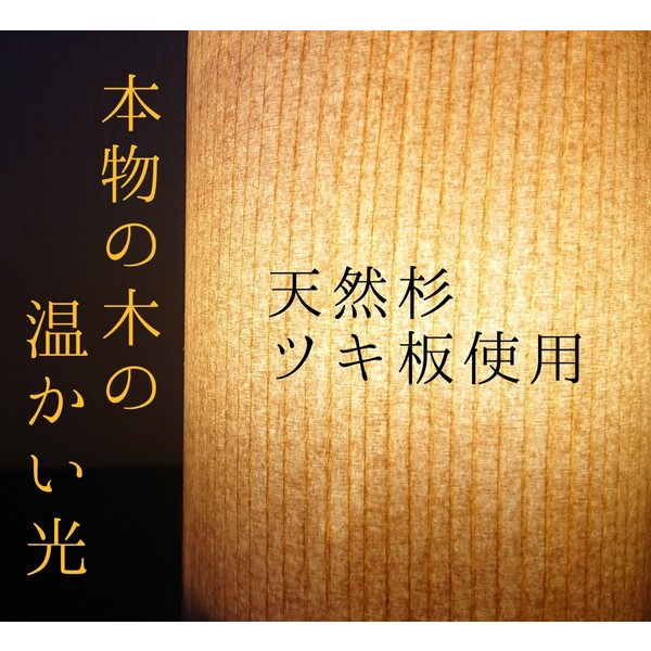 åäžã©ã€ã æšå
ããŒãã«ã©ã€ã æšè£œ 鿥ç
§æ å颚 LED